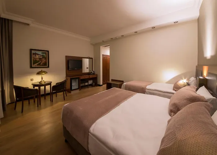 Vardar Palace Hotel - Special Category